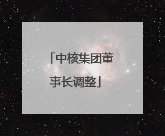 中核集团董事长调整