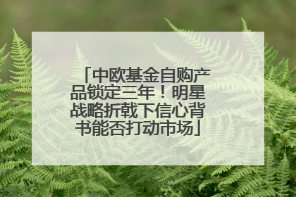 中欧基金自购产品锁定三年！明星战略折戟下信心背书能否打动市场