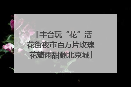 丰台玩“花”活 花街夜市百万片玫瑰花瓣雨甜翻北京城