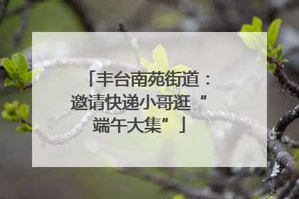 丰台南苑街道：邀请快递小哥逛“端午大集”