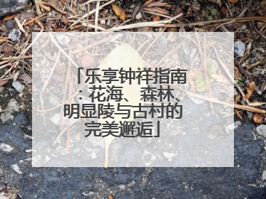 乐享钟祥指南：花海、森林、明显陵与古村的完美邂逅