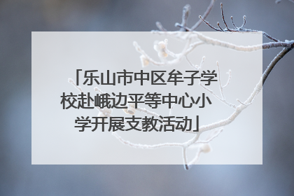 乐山市中区牟子学校赴峨边平等中心小学开展支教活动