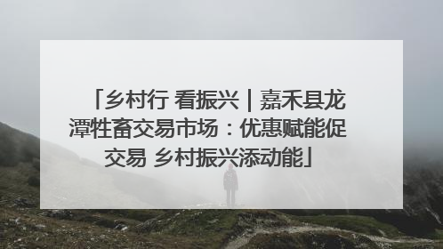 乡村行 看振兴｜嘉禾县龙潭牲畜交易市场：优惠赋能促交易 乡村振兴添动能