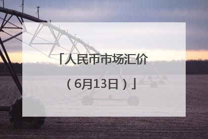 人民币市场汇价（6月13日）