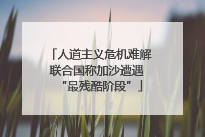 人道主义危机难解 联合国称加沙遭遇“最残酷阶段”