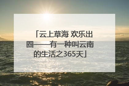 云上草海 欢乐出圈——有一种叫云南的生活之365天