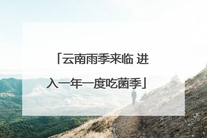 云南雨季来临 进入一年一度吃菌季