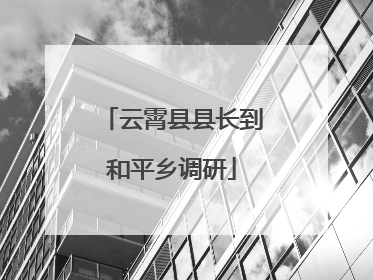 云霄县县长到和平乡调研