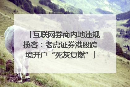 互联网券商内地违规揽客：老虎证券港股跨境开户“死灰复燃”