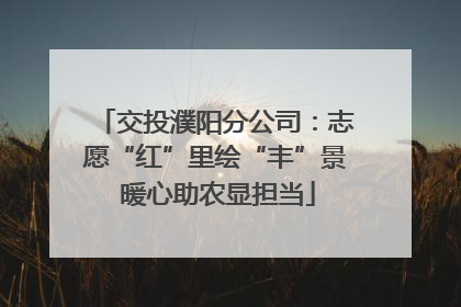 交投濮阳分公司：志愿“红”里绘“丰”景 暖心助农显担当