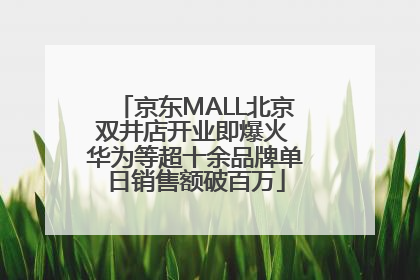 京东MALL北京双井店开业即爆火 华为等超十余品牌单日销售额破百万
