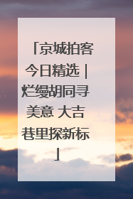 京城拍客今日精选｜烂缦胡同寻美意 大吉巷里探新标