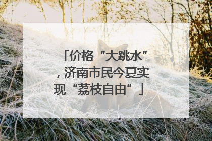 价格“大跳水”，济南市民今夏实现“荔枝自由”