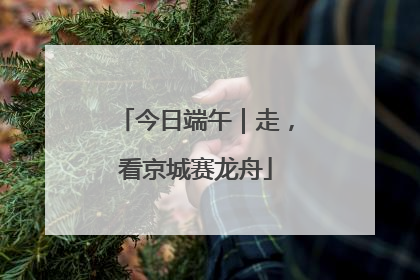 今日端午｜走，看京城赛龙舟