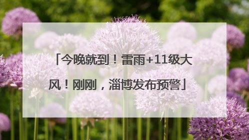 今晚就到！雷雨+11级大风！刚刚，淄博发布预警