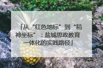 从“红色地标”到“精神坐标”：盐城思政教育一体化的实践路径