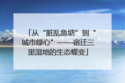 从“脏乱鱼塘”到“城市绿心”——宿迁三里湿地的生态蝶变