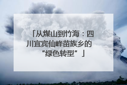从煤山到竹海：四川宜宾仙峰苗族乡的“绿色转型”