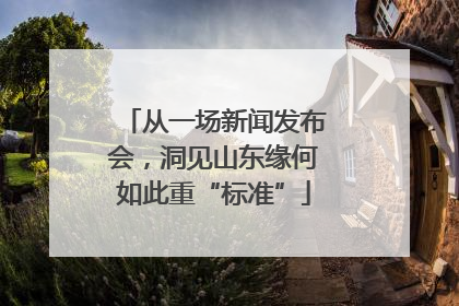 从一场新闻发布会，洞见山东缘何如此重“标准”