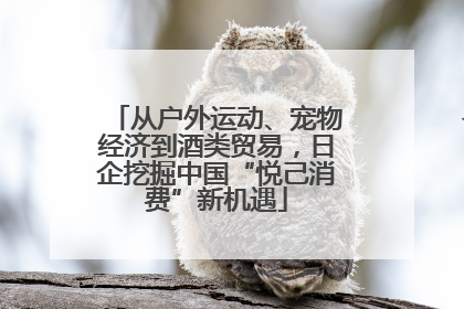 从户外运动、宠物经济到酒类贸易，日企挖掘中国“悦己消费”新机遇