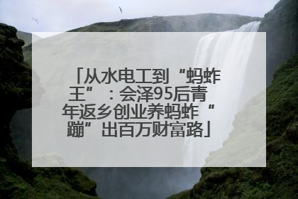 从水电工到“蚂蚱王”：会泽95后青年返乡创业养蚂蚱“蹦”出百万财富路