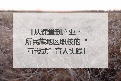 从课堂到产业:一所民族地区职校的“互嵌式”育人实践