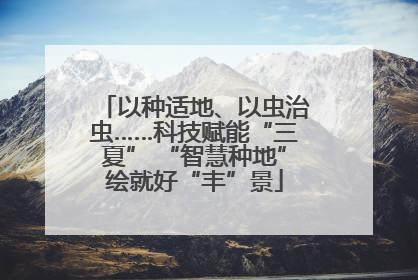以种适地、以虫治虫……科技赋能“三夏” “智慧种地”绘就好“丰”景