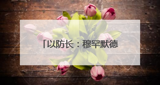 以防长：穆罕默德·辛瓦尔已死 这些人是下个目标