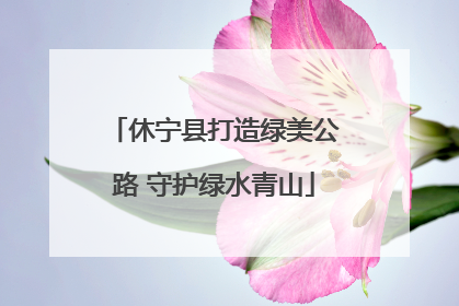 休宁县打造绿美公路 守护绿水青山