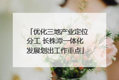 优化三地产业定位分工 长株潭一体化发展划出工作重点