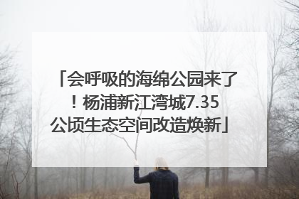 会呼吸的海绵公园来了！杨浦新江湾城7.35公顷生态空间改造焕新