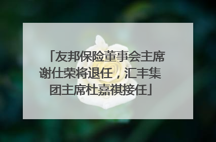 友邦保险董事会主席谢仕荣将退任，汇丰集团主席杜嘉祺接任