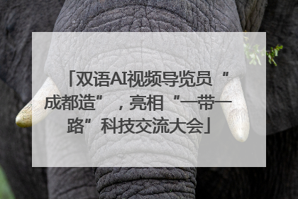 双语AI视频导览员“成都造”，亮相“一带一路”科技交流大会