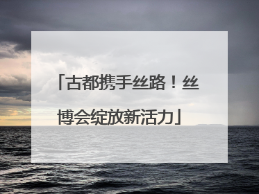 古都携手丝路！丝博会绽放新活力