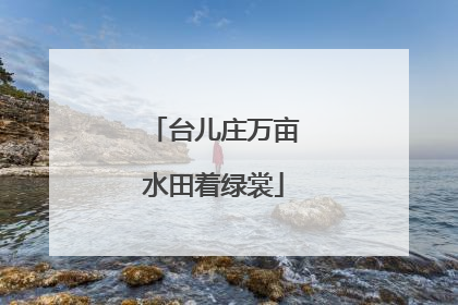 台儿庄万亩水田着绿裳