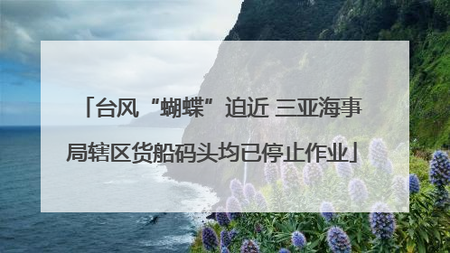 台风“蝴蝶”迫近 三亚海事局辖区货船码头均已停止作业