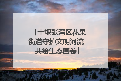 十堰张湾区花果街道守护文明河流 共绘生态画卷