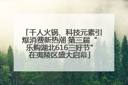 千人火锅、科技元素引爆消费新热潮 第三届“乐购湖北616三好节”在夷陵区盛大启幕
