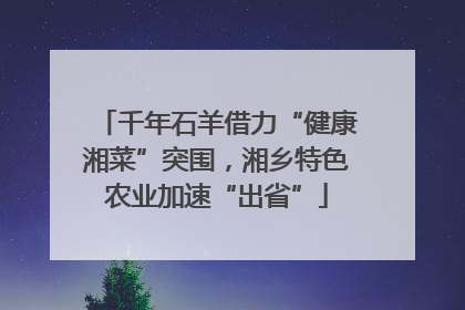 千年石羊借力“健康湘菜”突围，湘乡特色农业加速“出省”