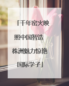 千年窑火映照中国智造 株洲魅力惊艳国际学子