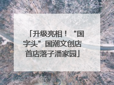 升级亮相！“国字头”国潮文创店首店落子潘家园