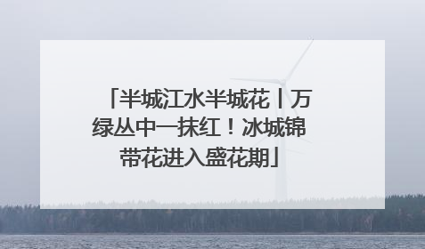 半城江水半城花丨万绿丛中一抹红！冰城锦带花进入盛花期