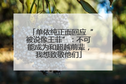 单依纯正面回应“被说像王菲”：不可能成为和超越前辈，我想致敬他们