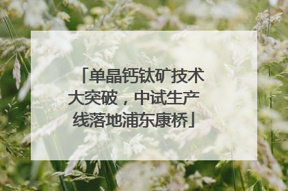 单晶钙钛矿技术大突破，中试生产线落地浦东康桥