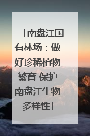 南盘江国有林场：做好珍稀植物繁育 保护南盘江生物多样性