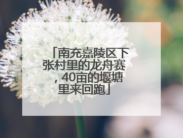 南充嘉陵区下张村里的龙舟赛，40亩的堰塘里来回跑