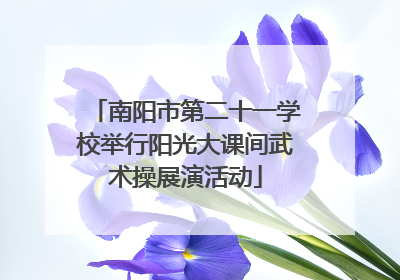南阳市第二十一学校举行阳光大课间武术操展演活动