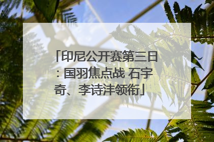 印尼公开赛第三日：国羽焦点战 石宇奇、李诗沣领衔