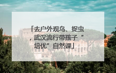去户外观鸟、捉虫，武汉流行带孩子“培优”自然课