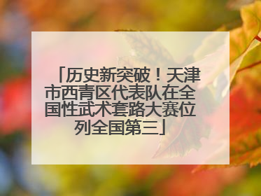 历史新突破！天津市西青区代表队在全国性武术套路大赛位列全国第三